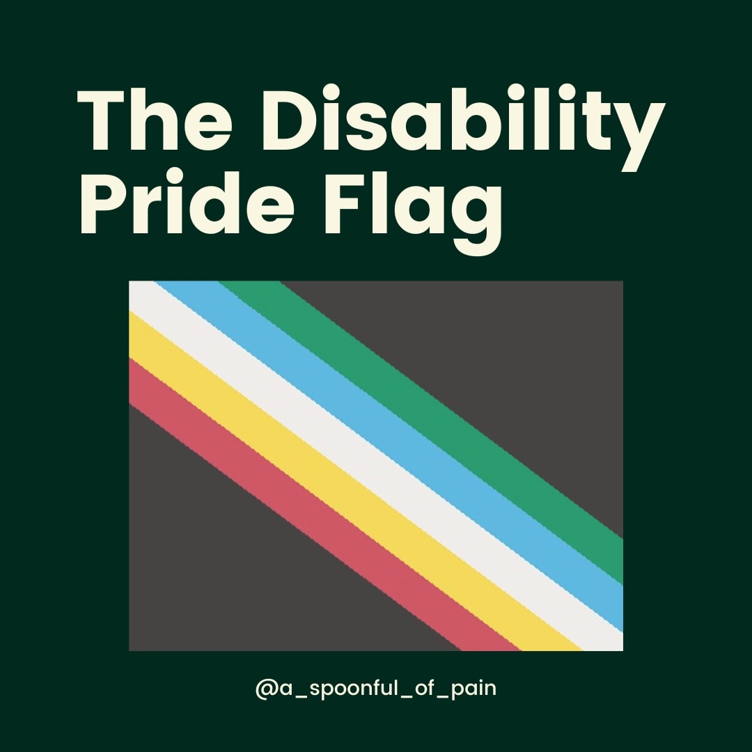 Disability Pride Flag shown over a dark green background under the title The Disability Pride Flag